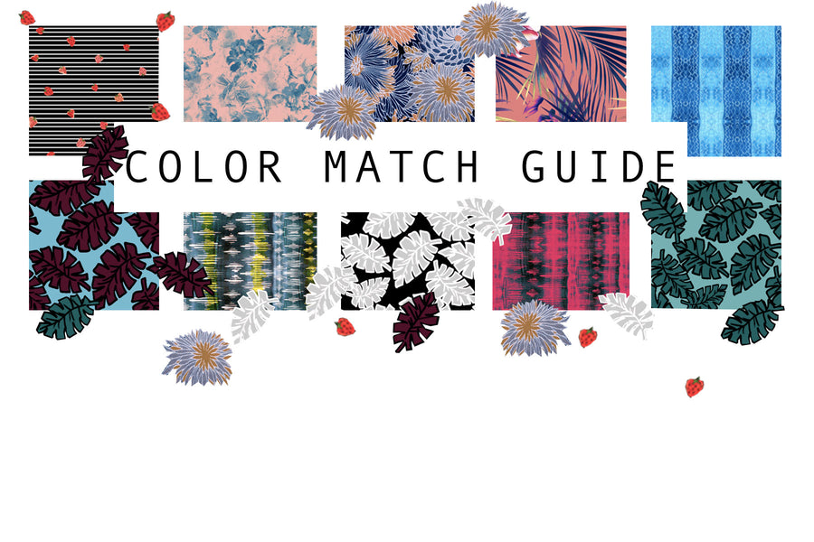JANUARY 2019 COLOR MATCH GUIDE