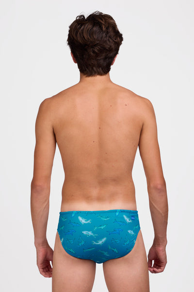 Male model wearing the Men's Brolyn Swim Brief in the Bite print, standing in front of a grey background shown from the back view

|| Size 32, Hip 29" 