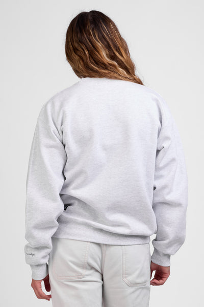 Female model wearing the Roxanne Sweatshirt in the Ash Shark Solid, standing in front of a grey background shown from the back view

|| Size S, Bust 36"  